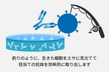 ICOS法のイメージ