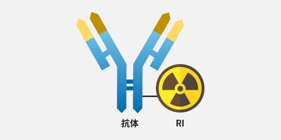 放射性同位体を標識させた抗体