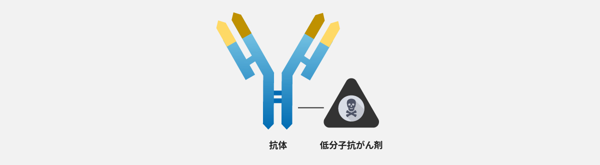 低分子抗がん剤が結合した抗体